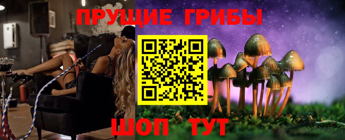 Псилоцибиновые грибы Cubensis Сердобск