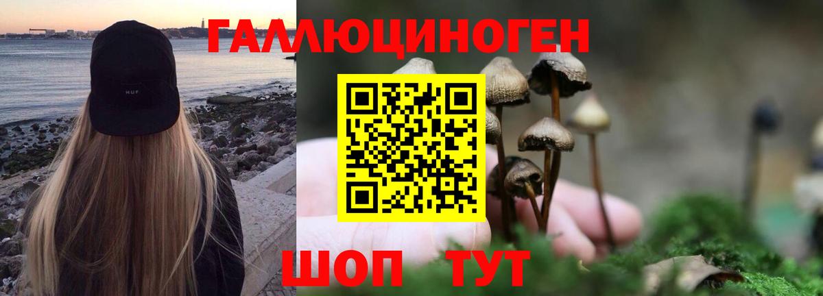 наркотики  Псилоцибиновые грибы Psilocybe  Вход с VPN  Сердобск 